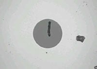 Dirty fiber endfaces