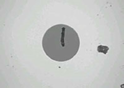 Dirty fiber end face